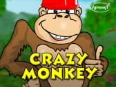 Crazy Monkey Vavada